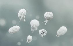 常见的思维类型有哪些？