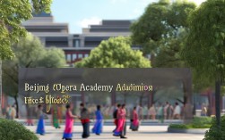 北京戏曲大学录取分数线2025是多少分?