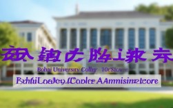 亳州城市学院2024年录取分数线是多少？不同专业分数有差异吗？