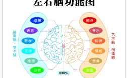 左右脑思维图如何揭示思维差异？
