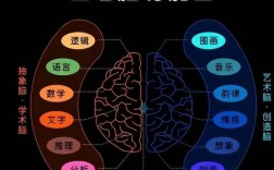 如何通过右脑思维图提升创造力与逻辑思维的协同能力？