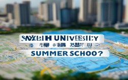 深圳哪些大学开设暑校？