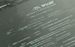 特种作业人员报名条件有哪些具体要求和限制？