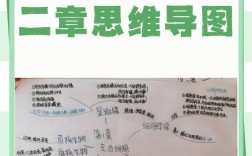 思维导图 生物