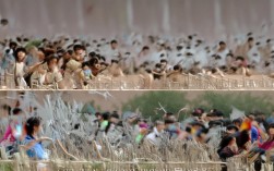 美术提前批录取线是多少？各省各校分数线差异大吗？
