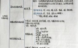 初二生物思维导图怎么用才高效？