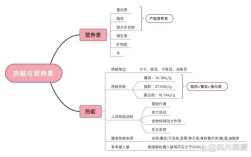 营养思维导图，怎么画才高效实用？