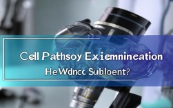 细胞病理学检查属于哪个医学科目？