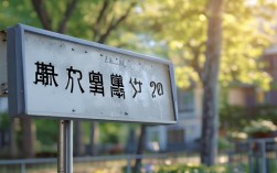 洞口县二中录取线多少