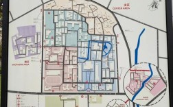 同济管科哪个方向更优？