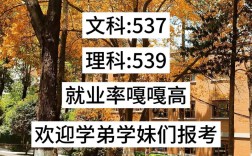 川师大今年录取分数线是多少？