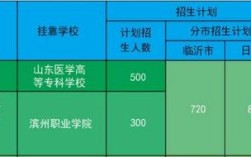 山东卫校录取分数线是多少？