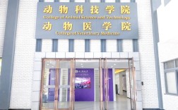 动物医学系哪所院校实力最强？