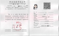 陕西营养师报名条件有哪些？