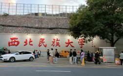 西北民族大学哪个民族学生占比最多？