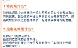 大学老师报名需满足哪些条件？