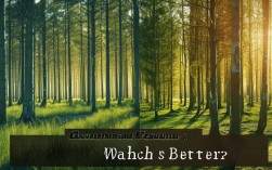 经济林与病理，哪个发展前景更优？