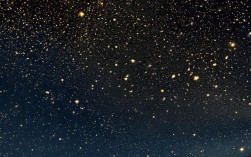 蜂群思维与群星有何联系？能实现群体智能吗？