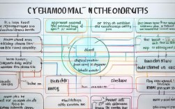 小学数学小数思维导图