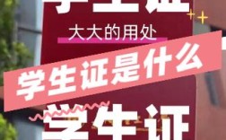 政治文涛毕业于哪所学校？