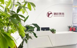 深圳派思维教育有何独特优势？