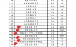 茶陵世纪星中考录取多少？