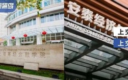 上交高金VS安泰，选哪个更优？