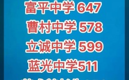 富平中学录取分数线是多少人？