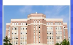 法律硕士隶属于哪个学院？