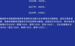 鲁美录取排名多少能进？