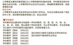 教育学哪些专业更看重实践经验？