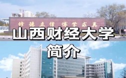 山西财大山大MBA，选哪个更合适？