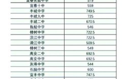 樟树市中考录取分数线是多少？