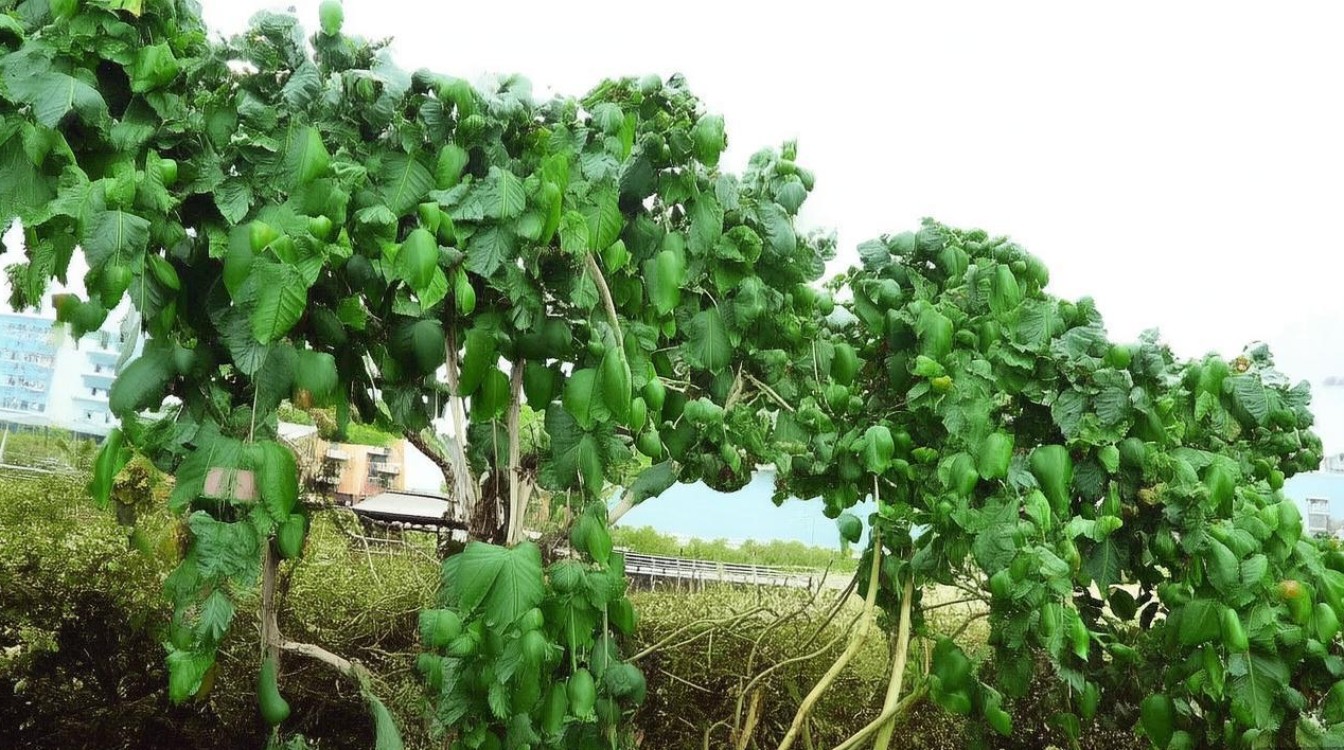 常州怀德学院今年录取分数线是多少?-图1 常州怀德学院今年录取分数线是多少?-图1