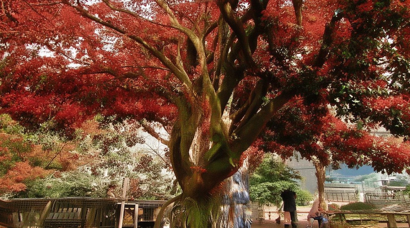 复旦文学院哪个专业相对好考？-图1