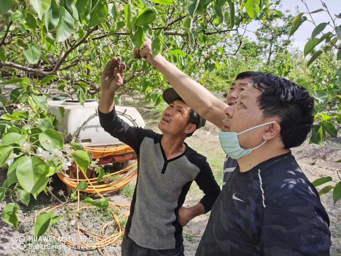 南农社工属于哪个学院?-图3 南农社工属于哪个学院?-图3