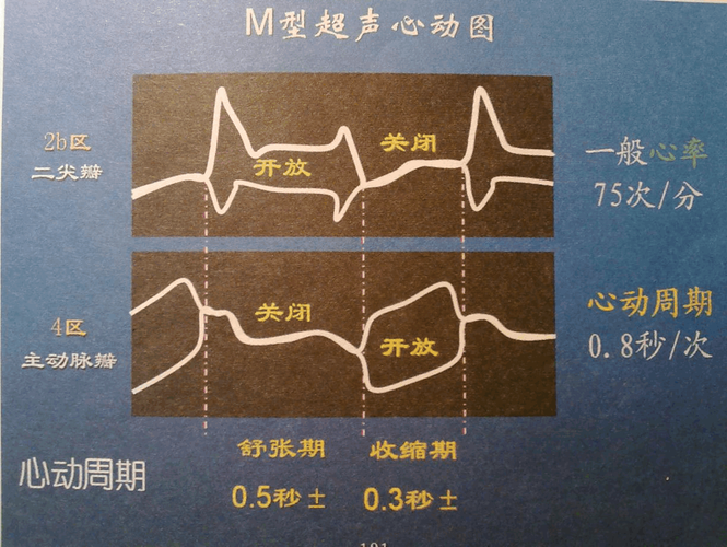 超声波技术报名条件有哪些？-图2
