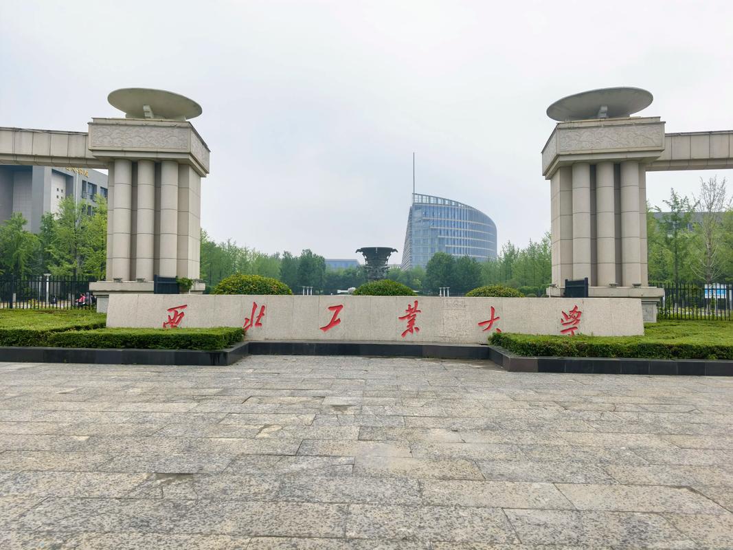 西工大801哪个专业课更易上岸?-图3 西工大801哪个专业课更易上岸?-图3