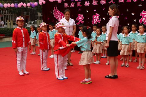 张店幼儿中专录取分数线是多少？-图1