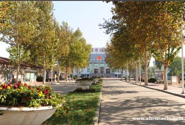 张店幼儿中专录取分数线是多少？-图3