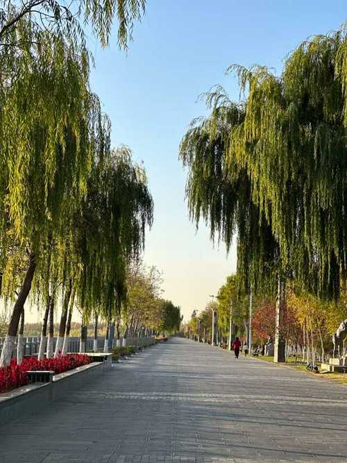 伊宁1中录取分数线是多少?-图3 伊宁1中录取分数线是多少?-图3