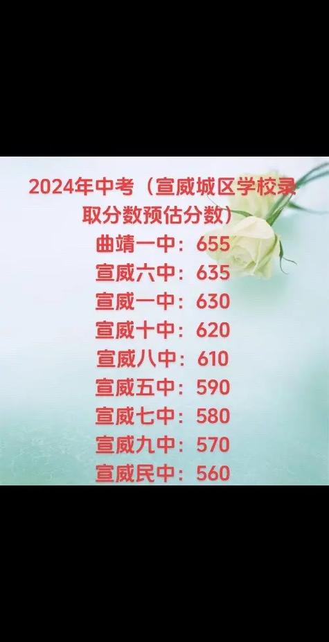 宣威中考最高分多少能被录取?-图1 宣威中考最高分多少能被录取?-图1