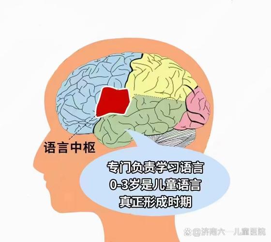 语言如何塑造思维？-图3