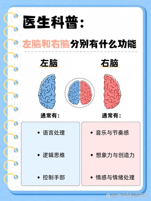 逻辑思维到底是什么？-图3