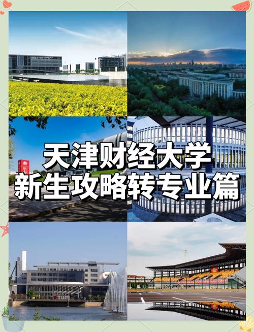 天津财经和吉大选哪个更合适？-图1