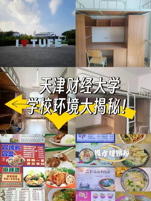 天津财经和吉大选哪个更合适？-图3