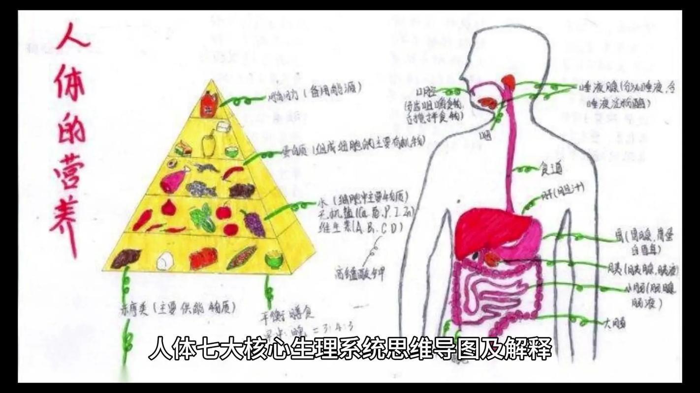 理念思维-图1 理念思维-图1