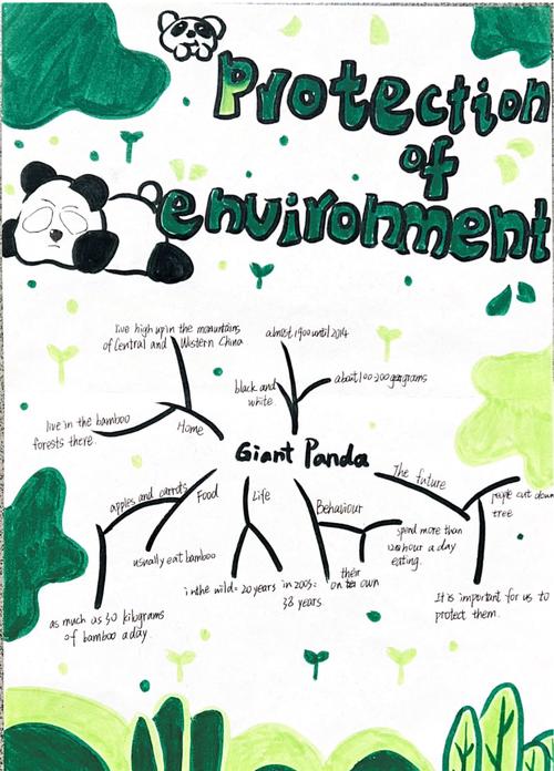 主题单元设计如何用思维导图高效呈现?-图1 主题单元设计如何用思维导图高效呈现?-图1