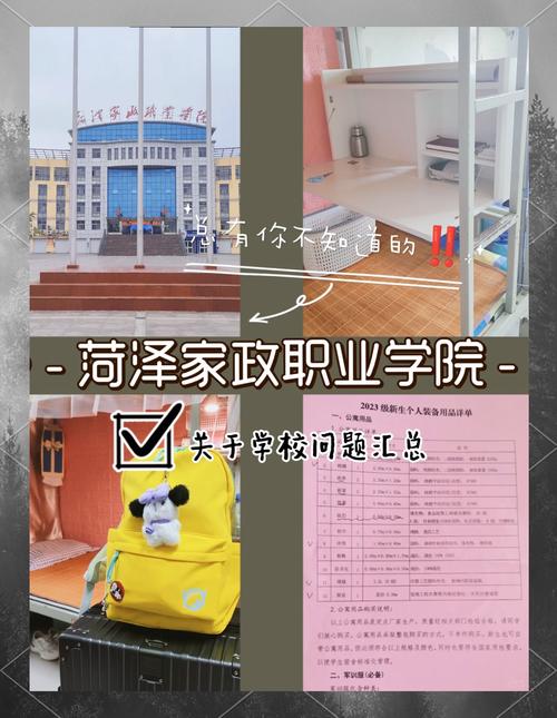 家政录取分数线到底是多少？-图2