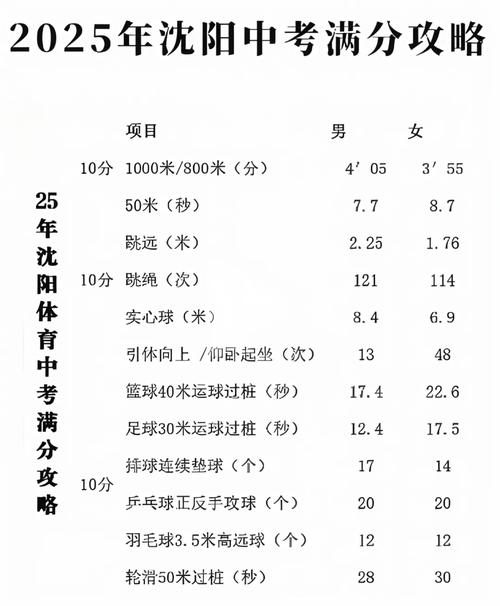 沈阳体校多少分录取本科-图2